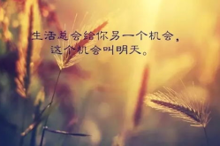 每日一句正能量励志语录,激励心灵，点亮人生