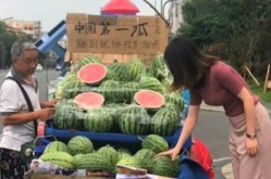 音信频道-整天3个瓜！狡赖整容、公然被人表达幼S被怒怼文娱圈真精粹，追求贝博ballbet入口：正在线文娱平台的奇异魅力-证券日报网