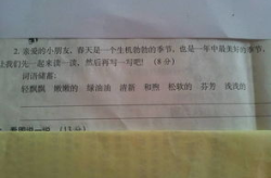 一家11口打一字谜答案,汉字中的趣味智慧